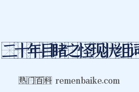 二十年目睹之怪现状组词是什么意思的图片